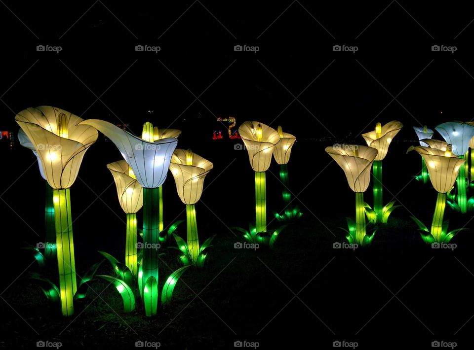 Calla Lily Lanterns