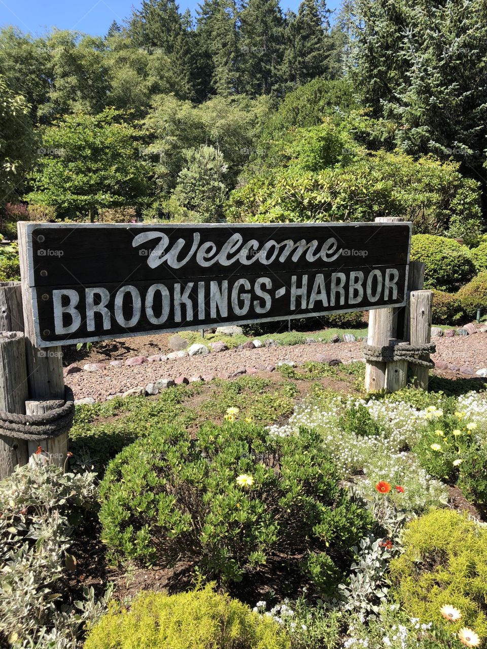 Brookings OR Sign