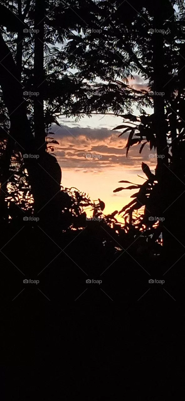 morning sky