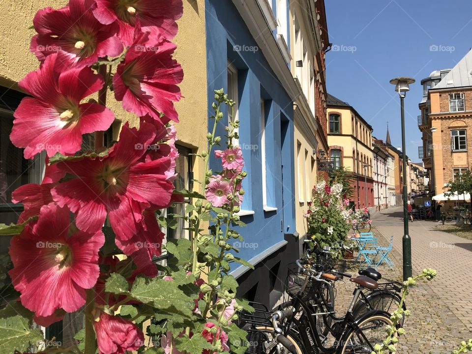 Floral in the city