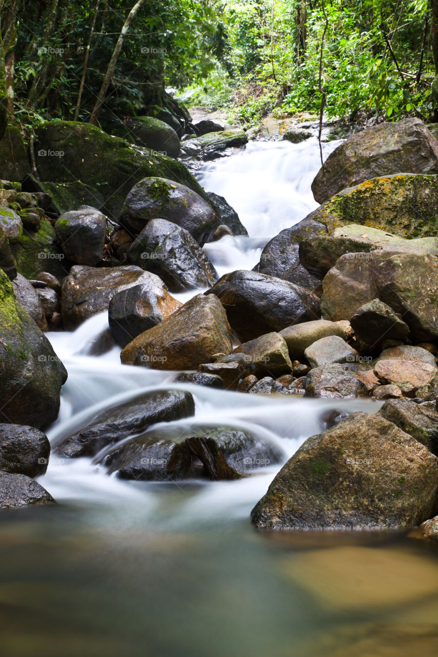 waterfall in summer time