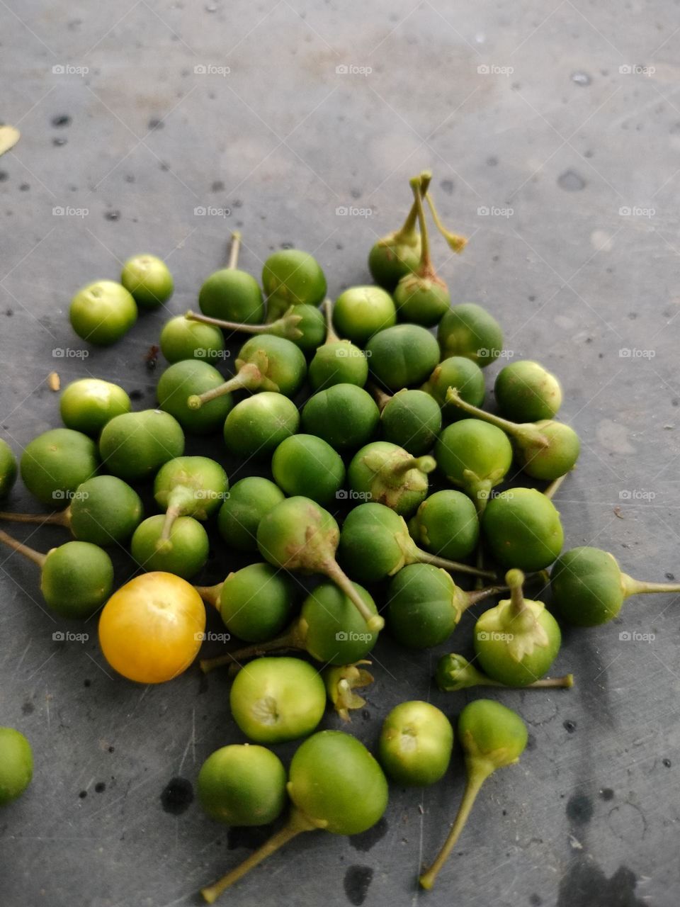 Green Fruits Guess This !