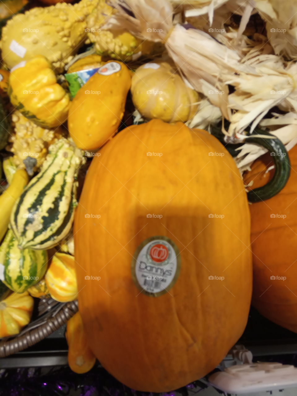 it's a pumpkin season