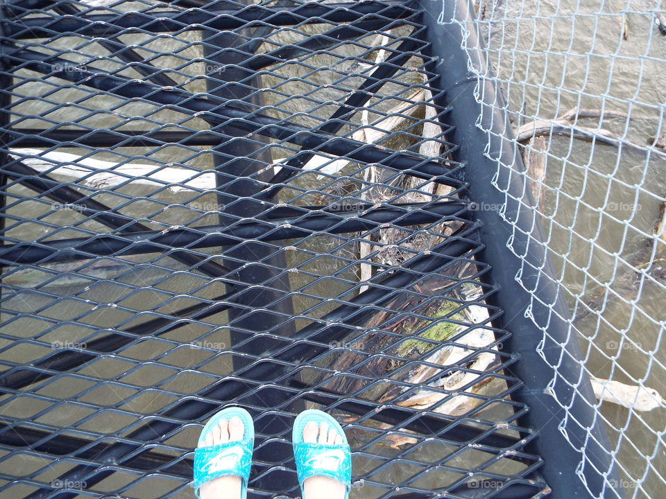 Standing on walkway bridge over the Mississippi  River  in Iowa