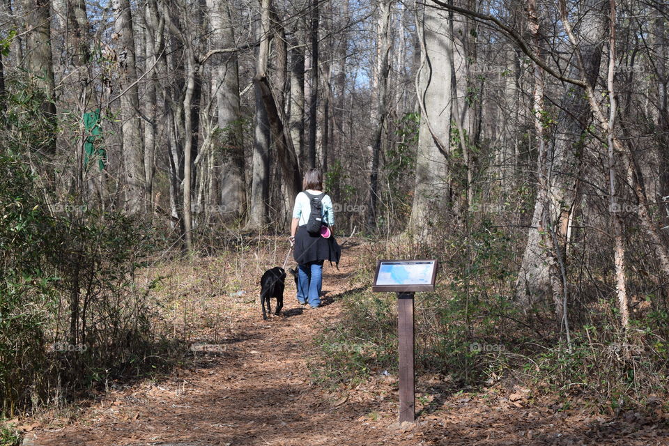 Hiking trails