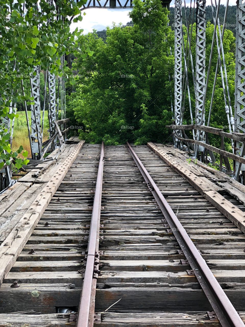 Old abandoned railroad tracks