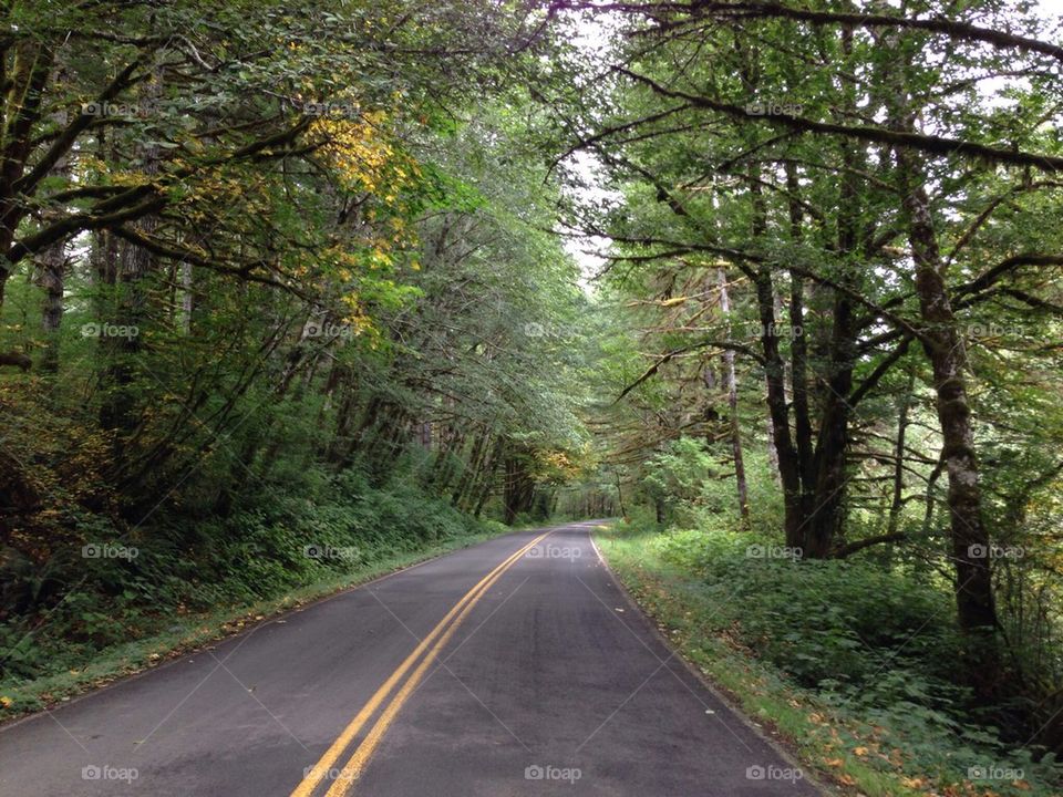 Oregon back road