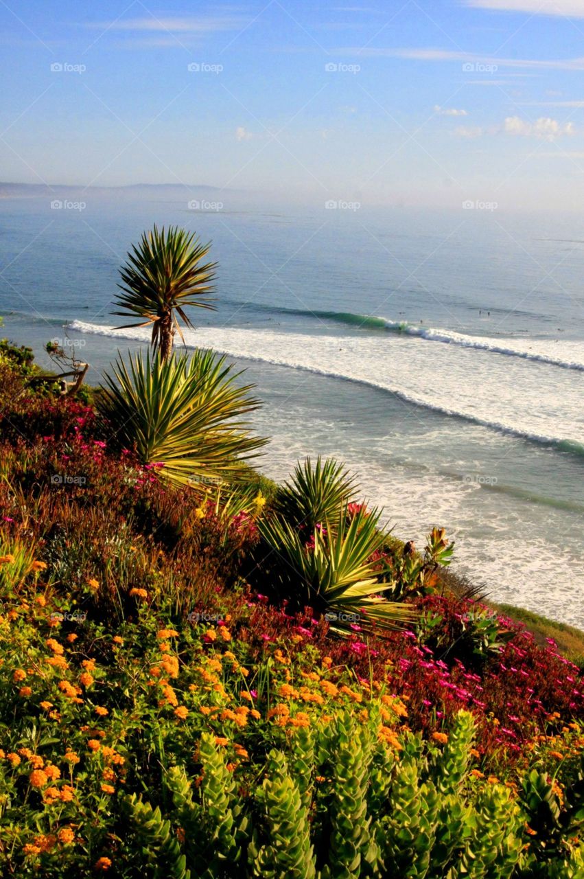 Carlsbad beach