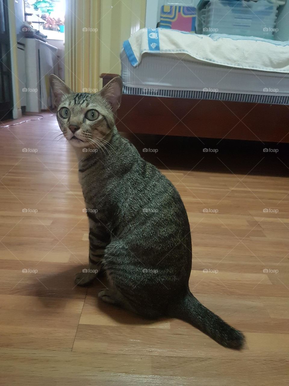 seductive and annoying