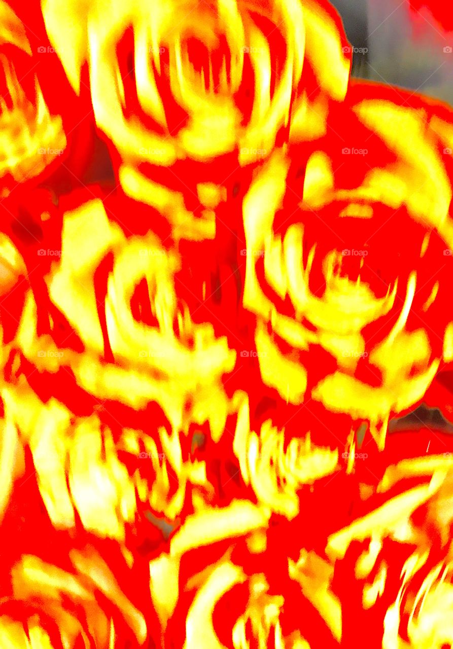 Abstract, roses