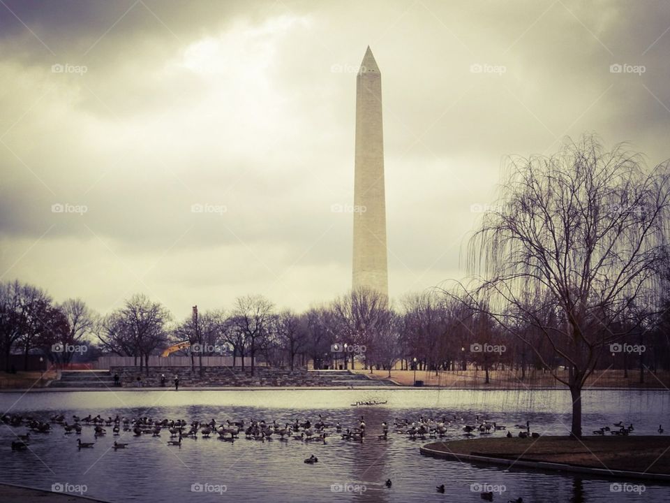 Washington Monument in Winter