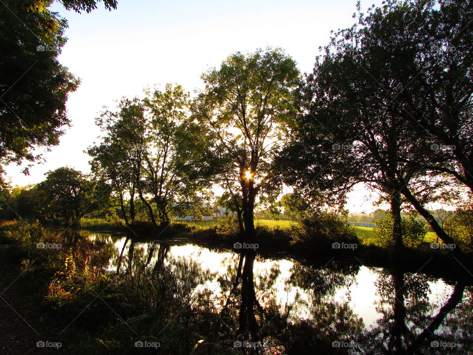 Reflection of trees in lake at sunrise