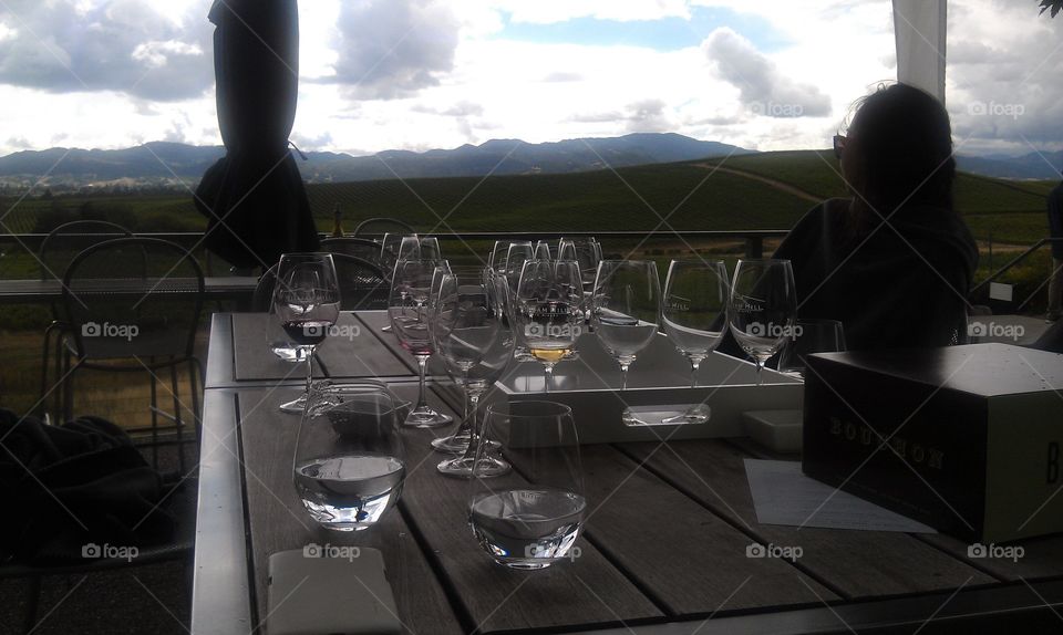 Wine tasting glasses