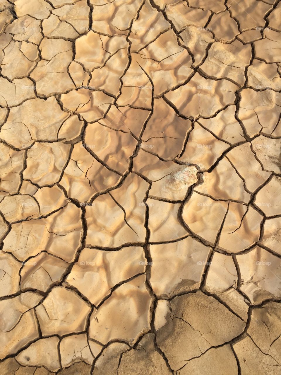 Drought, Arid, Wasteland, Dry, Mud
