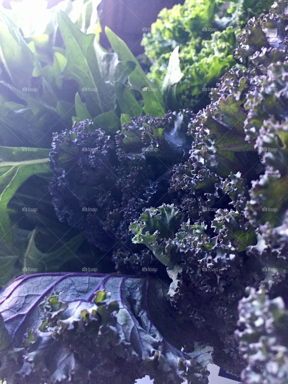 Creative Textures - red and green kale