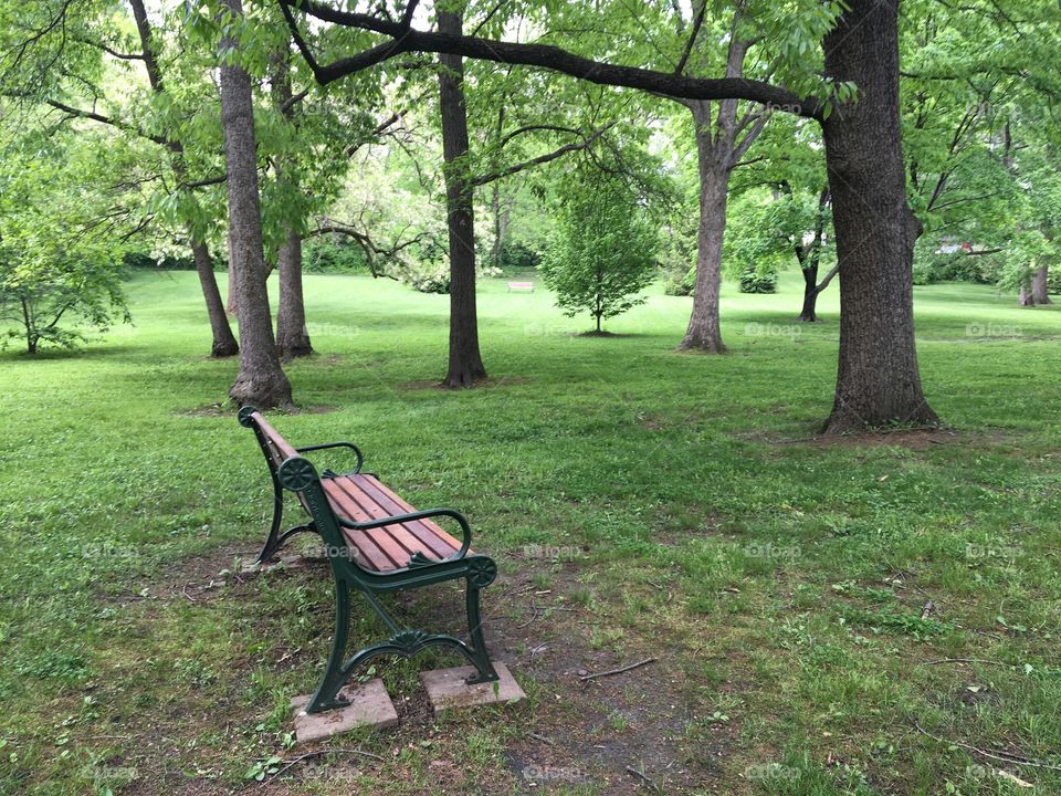 Park bench
