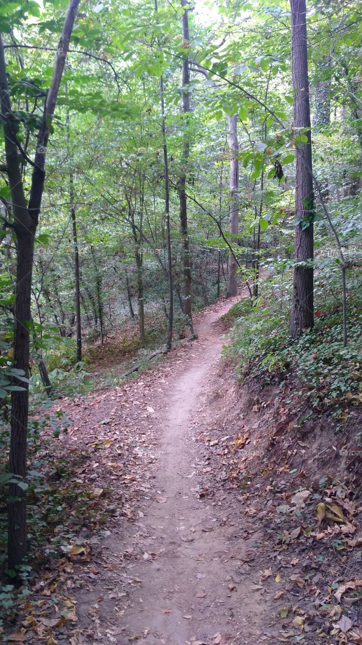 Trail at Forest Hill Park Richmond Virginia