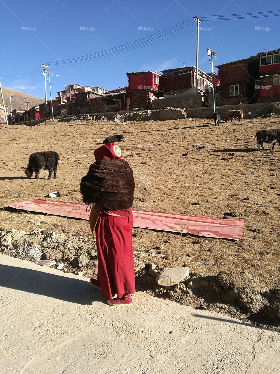 Se Da Buddhist Monastery and School in Sichuan Province, China.

Se Da is currently the largest Tibetan Buddhist school in the world and not open to westerners.