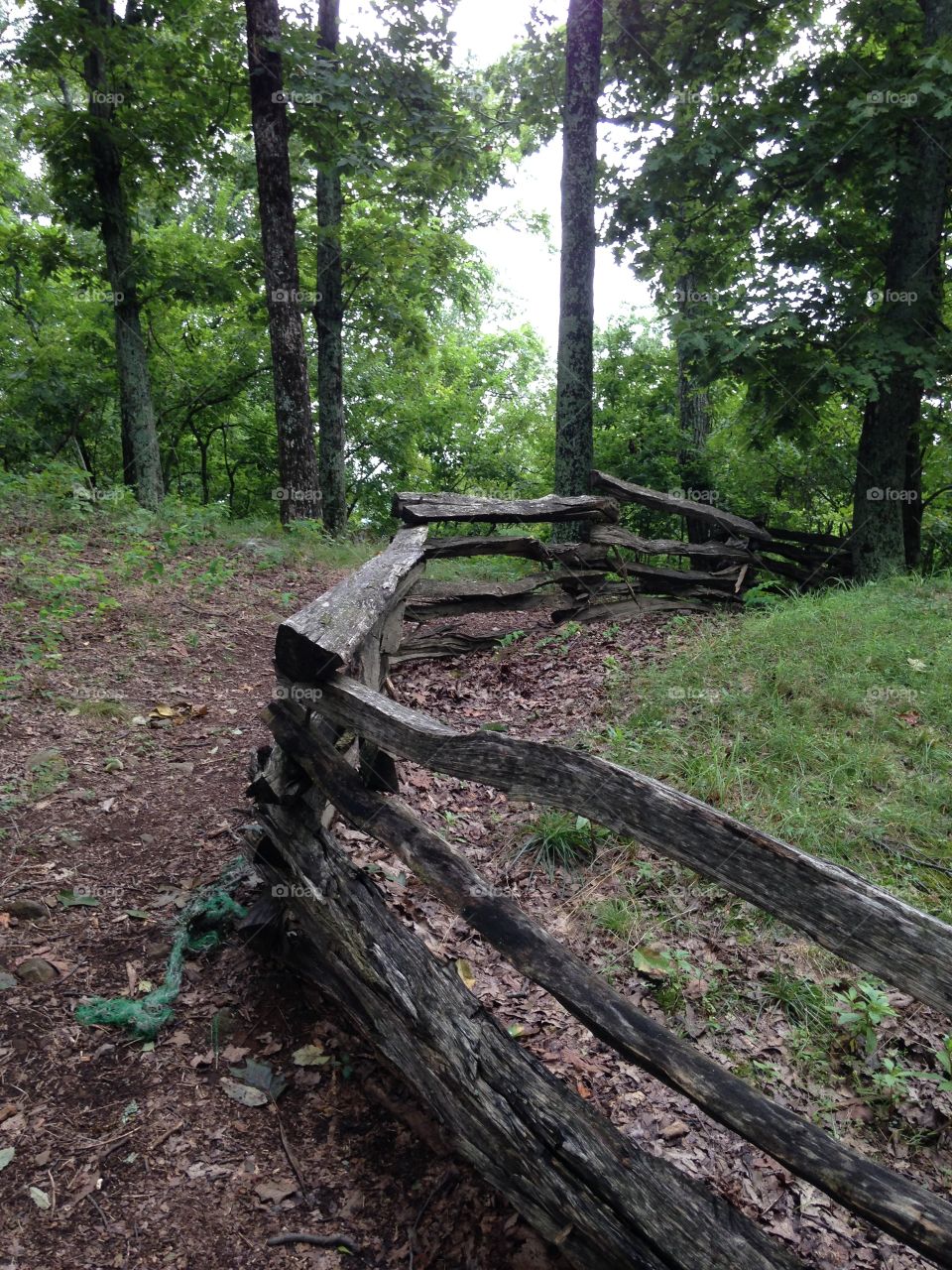 Mountain trail along Fence