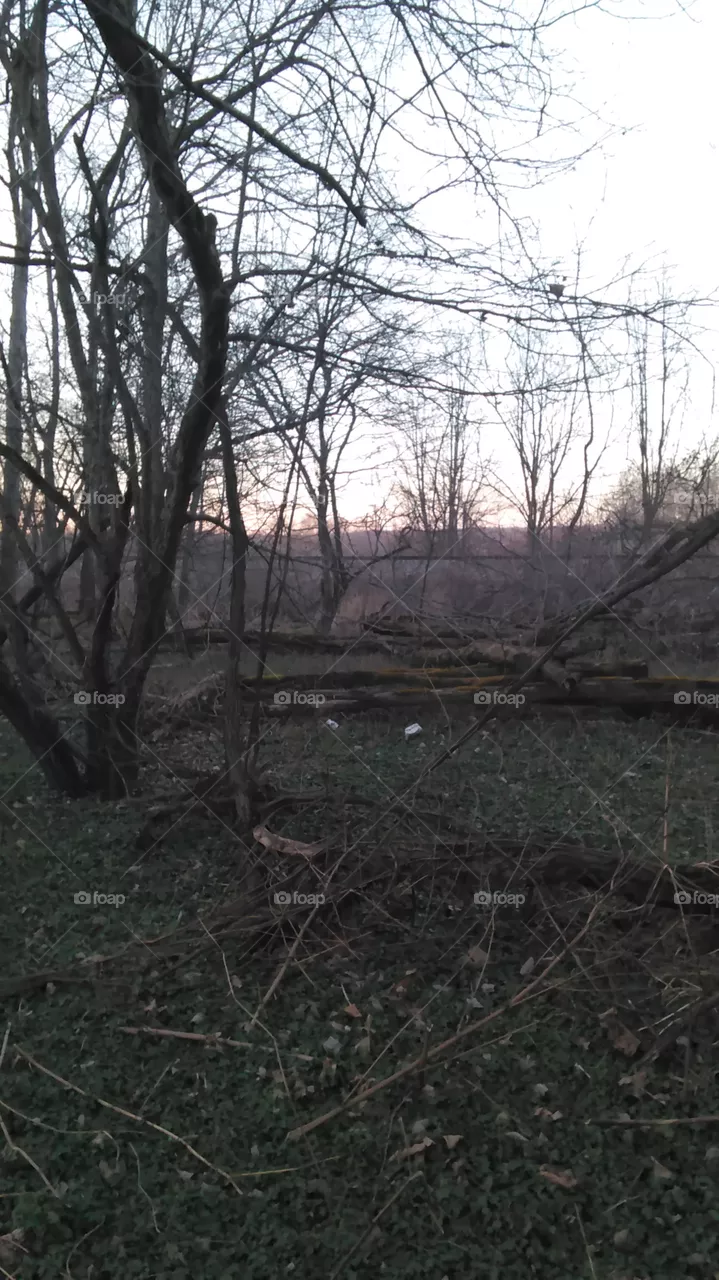 landscape