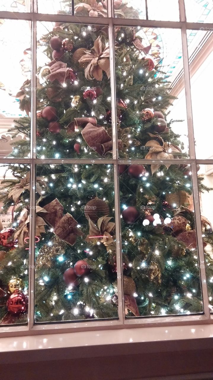 Holiday tree in window