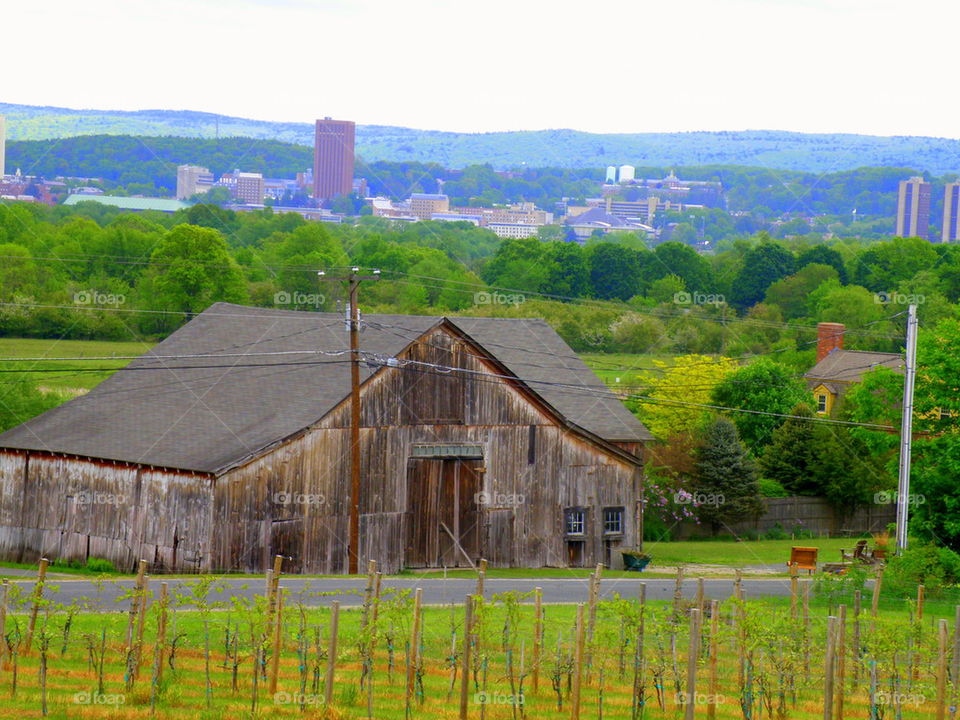 The border between country and city