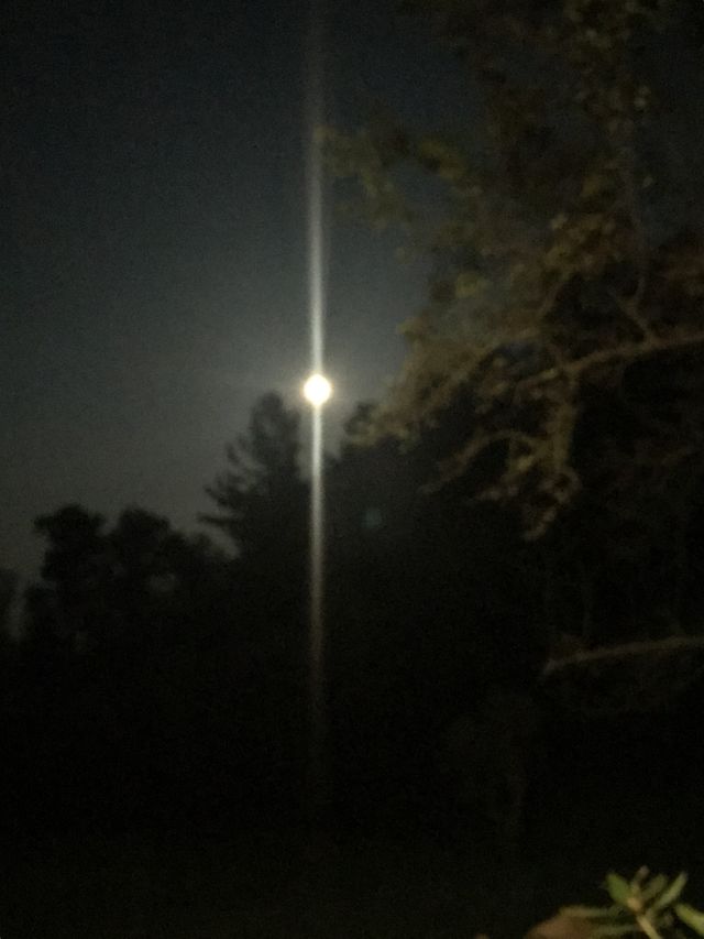 Moonlight