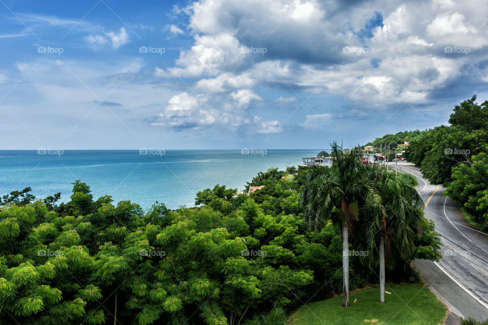 Road to the Beach high view