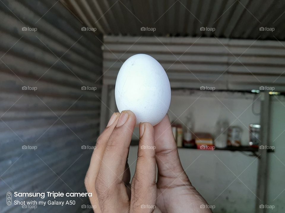 egg finger