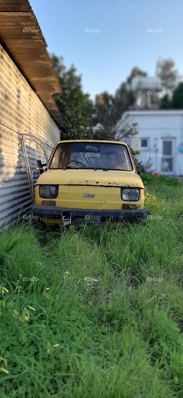 Forgotten car
