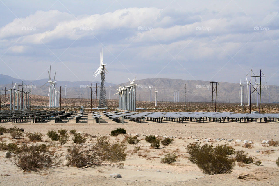 Field of Alternative