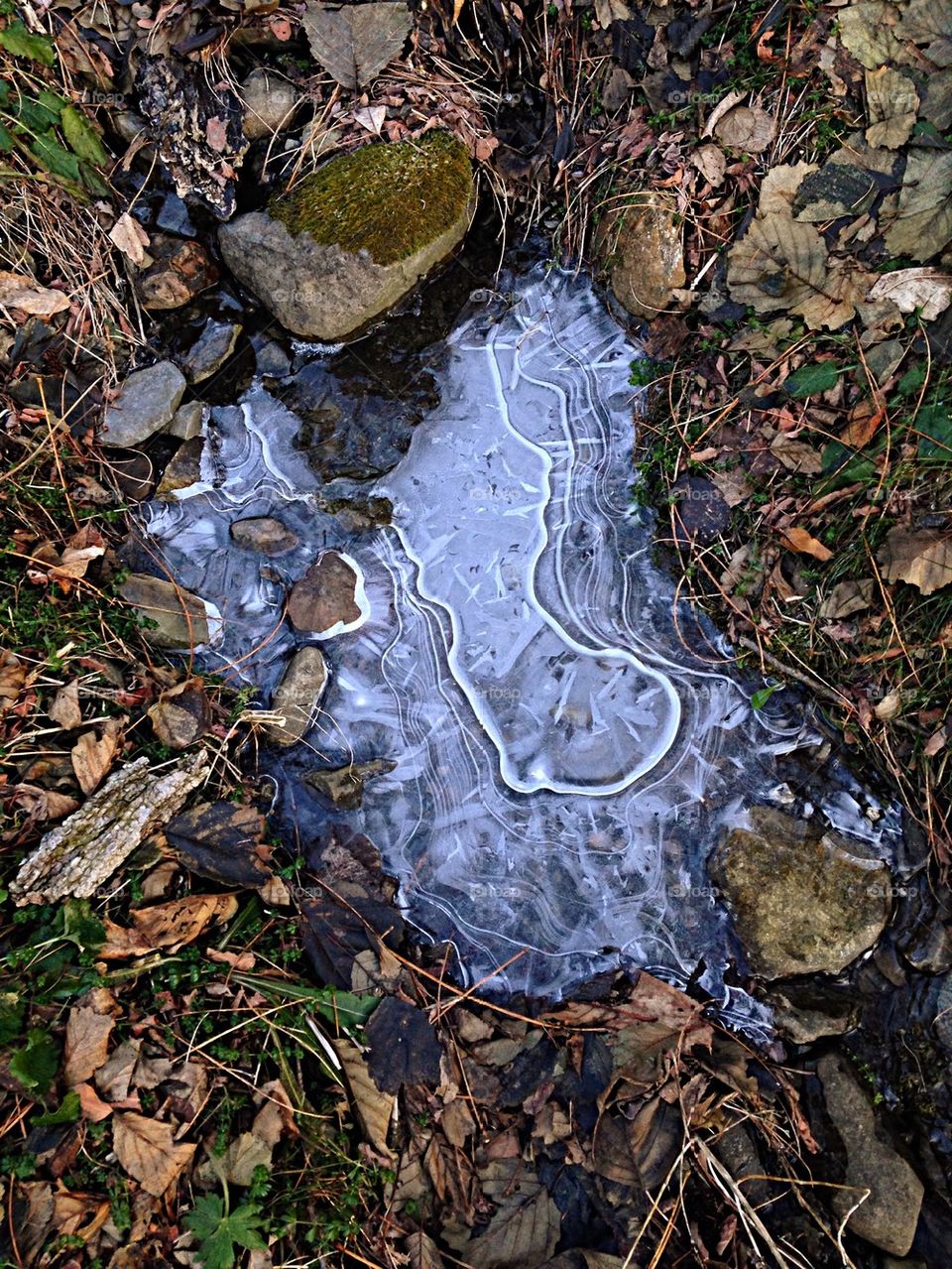 Streambed Ice