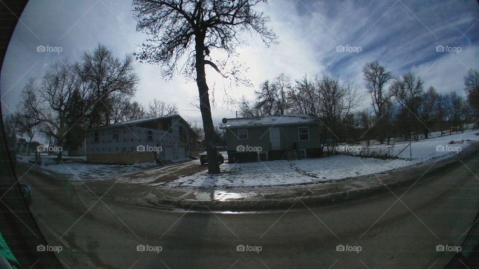 Storm, Flood, Weather, Tree, Winter