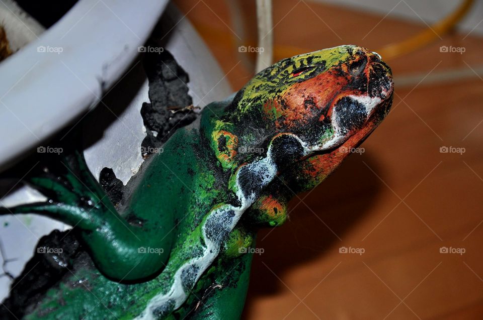 Beautiful macro shots