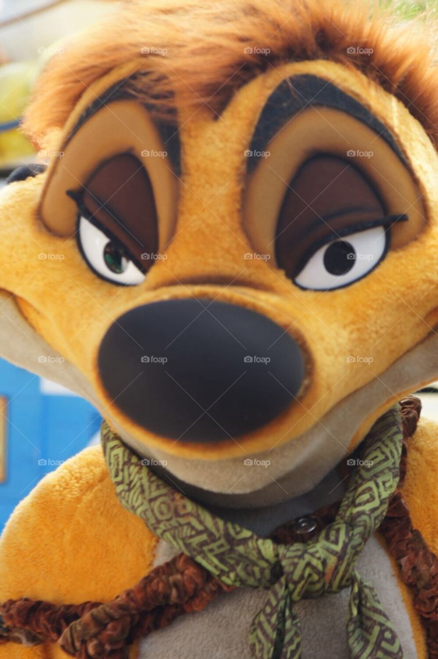 Timon from The Lion King