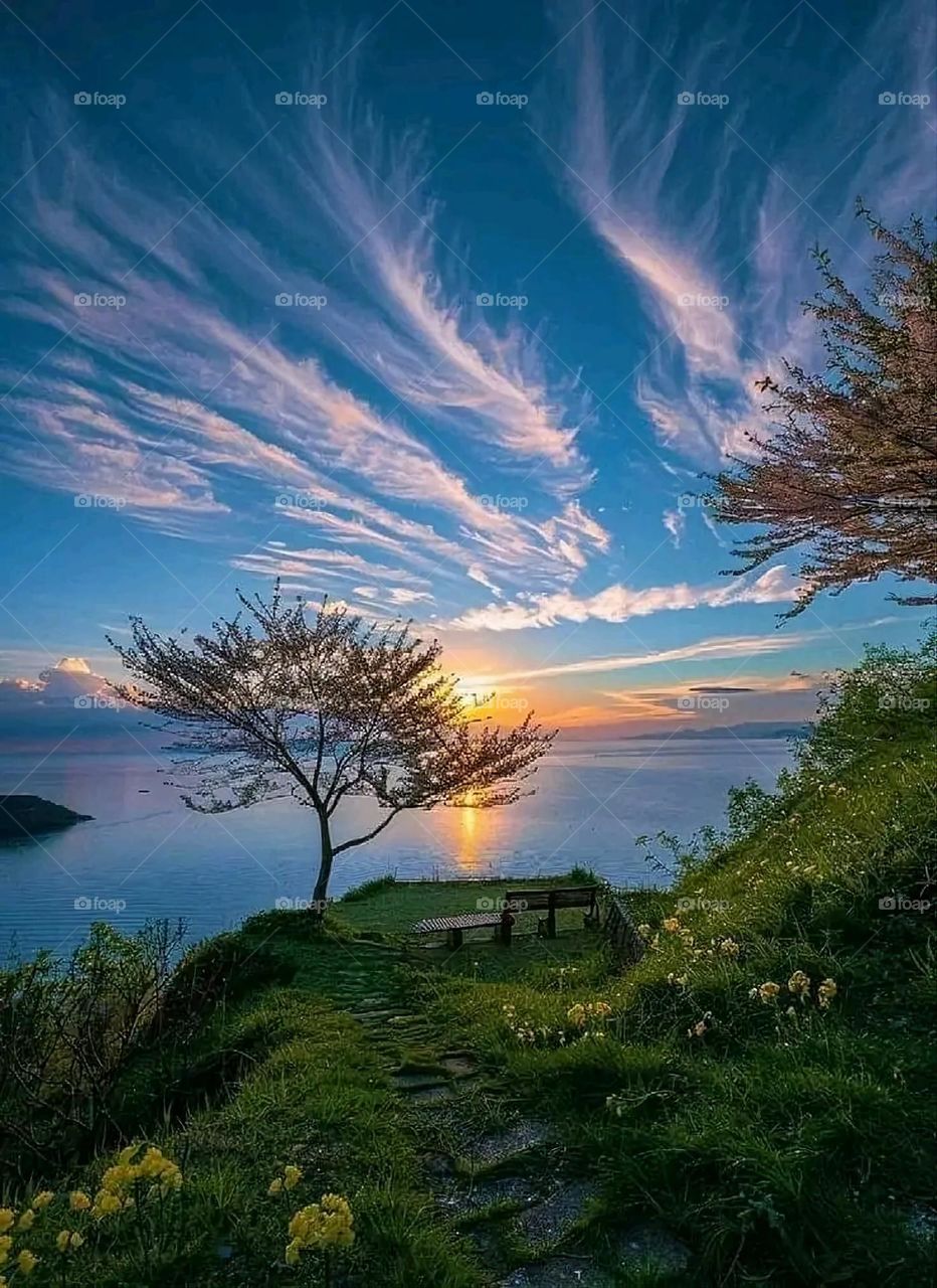 A very beautiful picture, and there is no better picture than it. There is no better picture of green herbs and colorful, red and white roses than it. Glory be to God, the natural and picturesque view, and there is no more