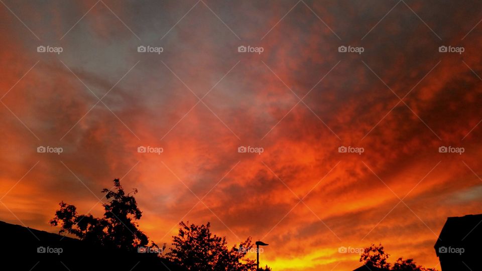 Silhouette of trees against dramatic sky at sunset