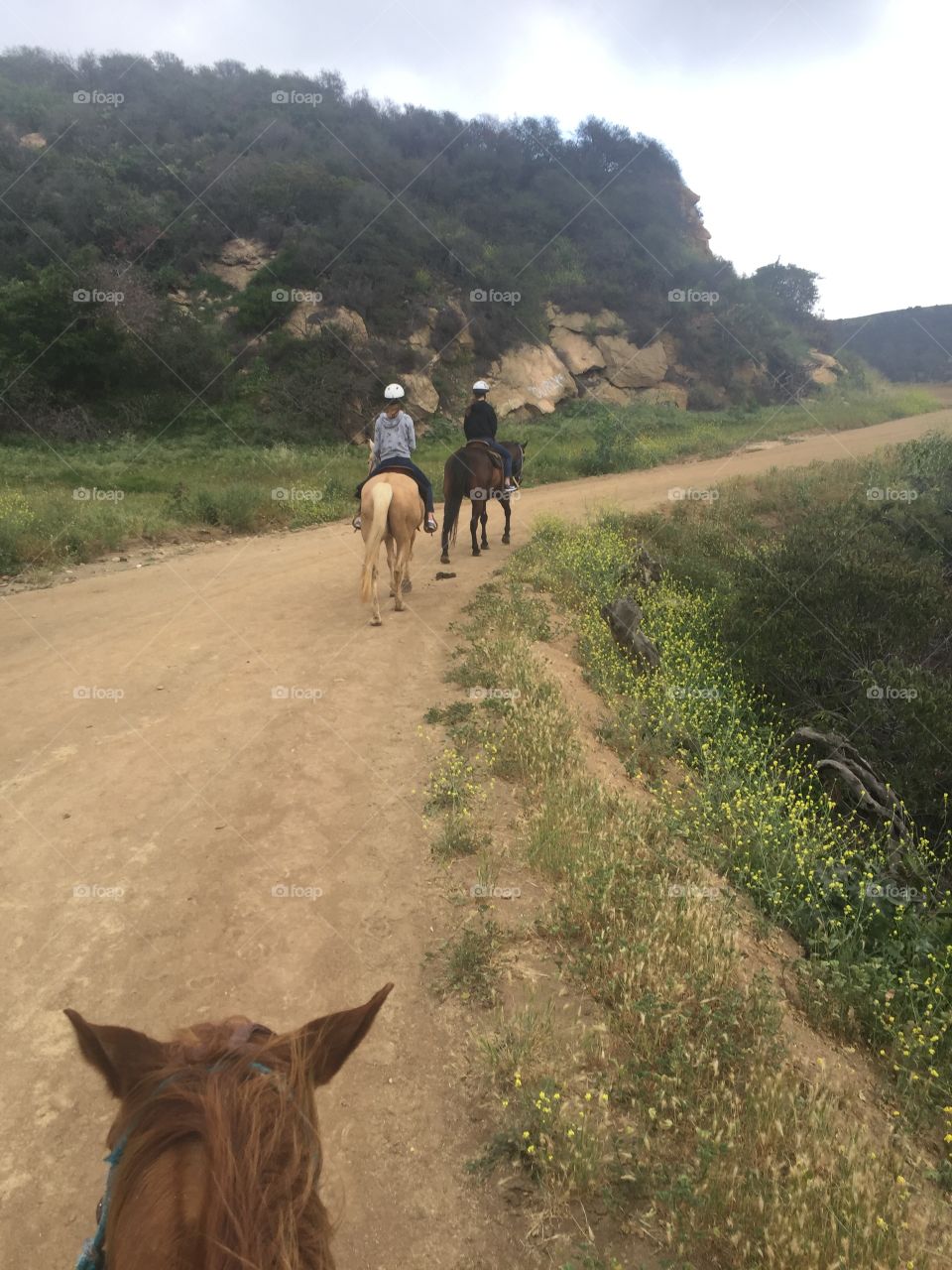 Hollywood Hills trail ride 