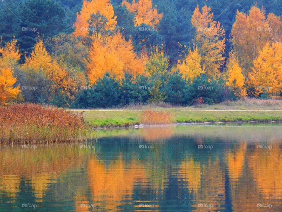 autumn lake