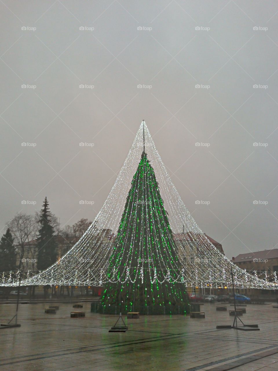 Vilnius Christmastree