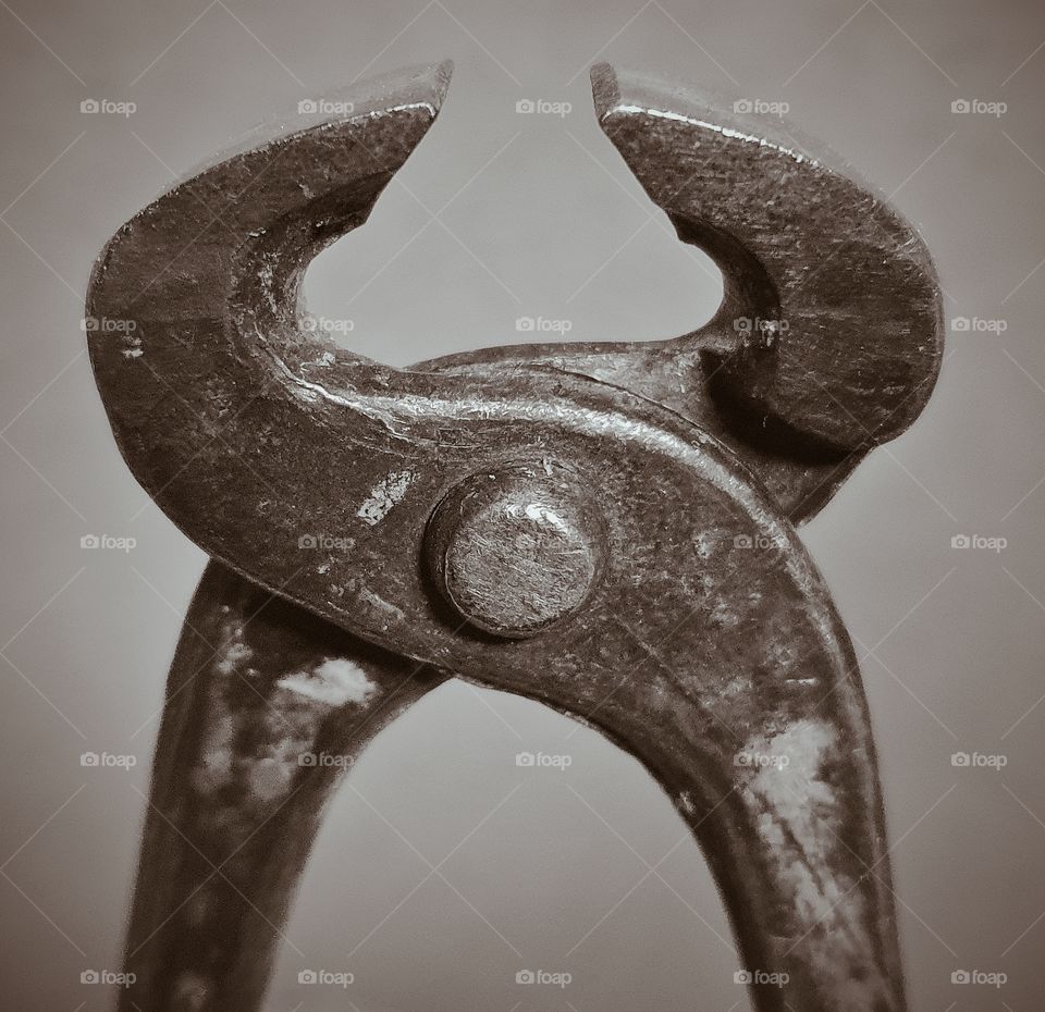 Detail of pincers, in black and white