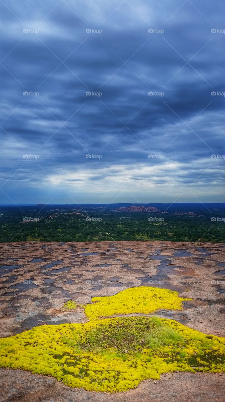 yellow moss. hiking to the top of enchanted rock