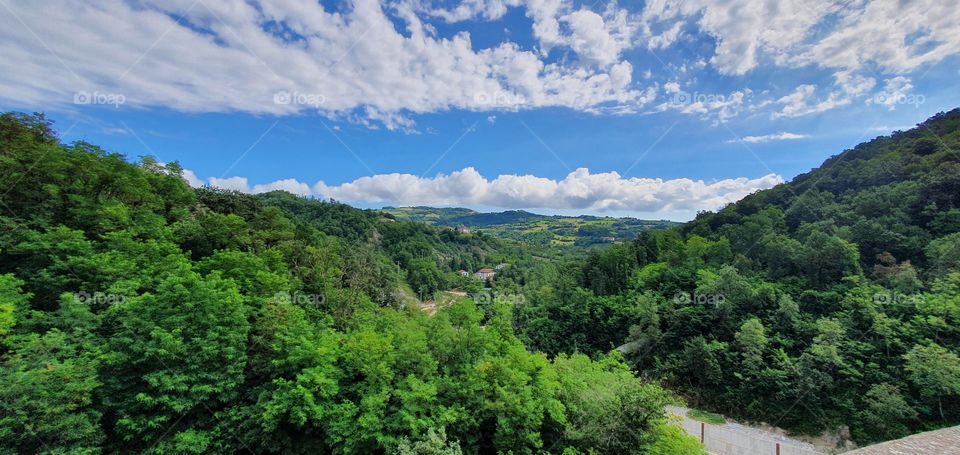 full immersion on nature