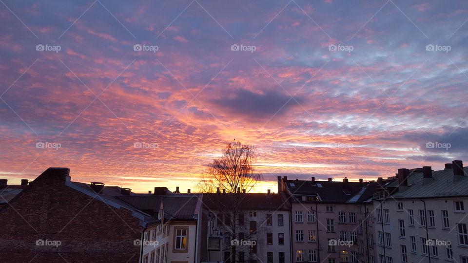 No Person, Sunset, Evening, Architecture, Light