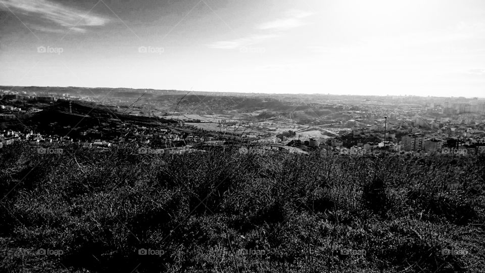 Black and White Landscape