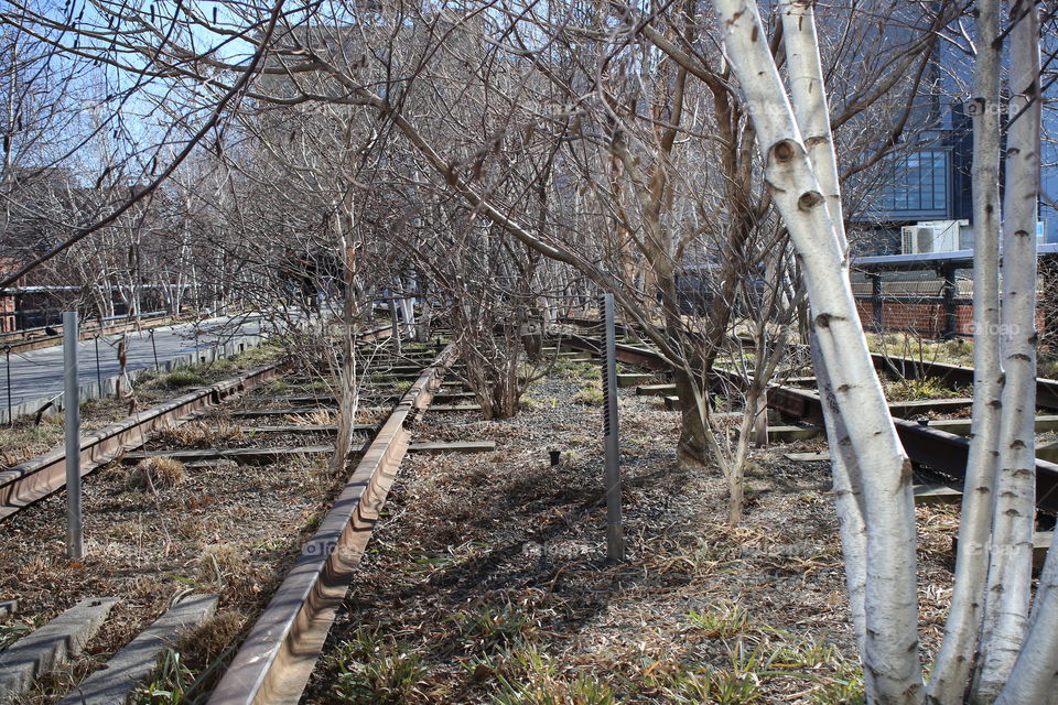 The New York High Line is s linear park made on a defunct train line. in sections, you can still see the old tracks