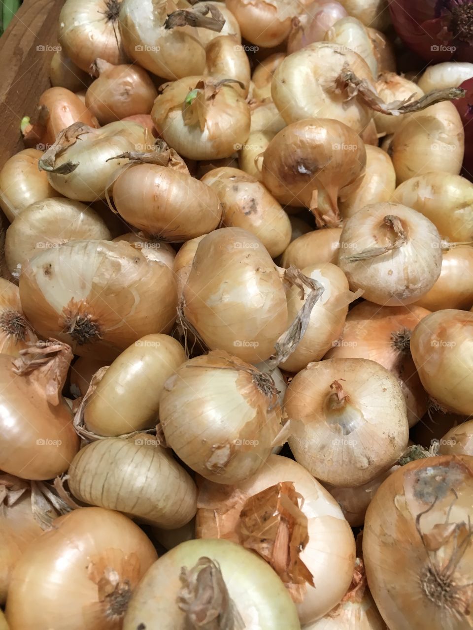 Onions at Farmers Market 