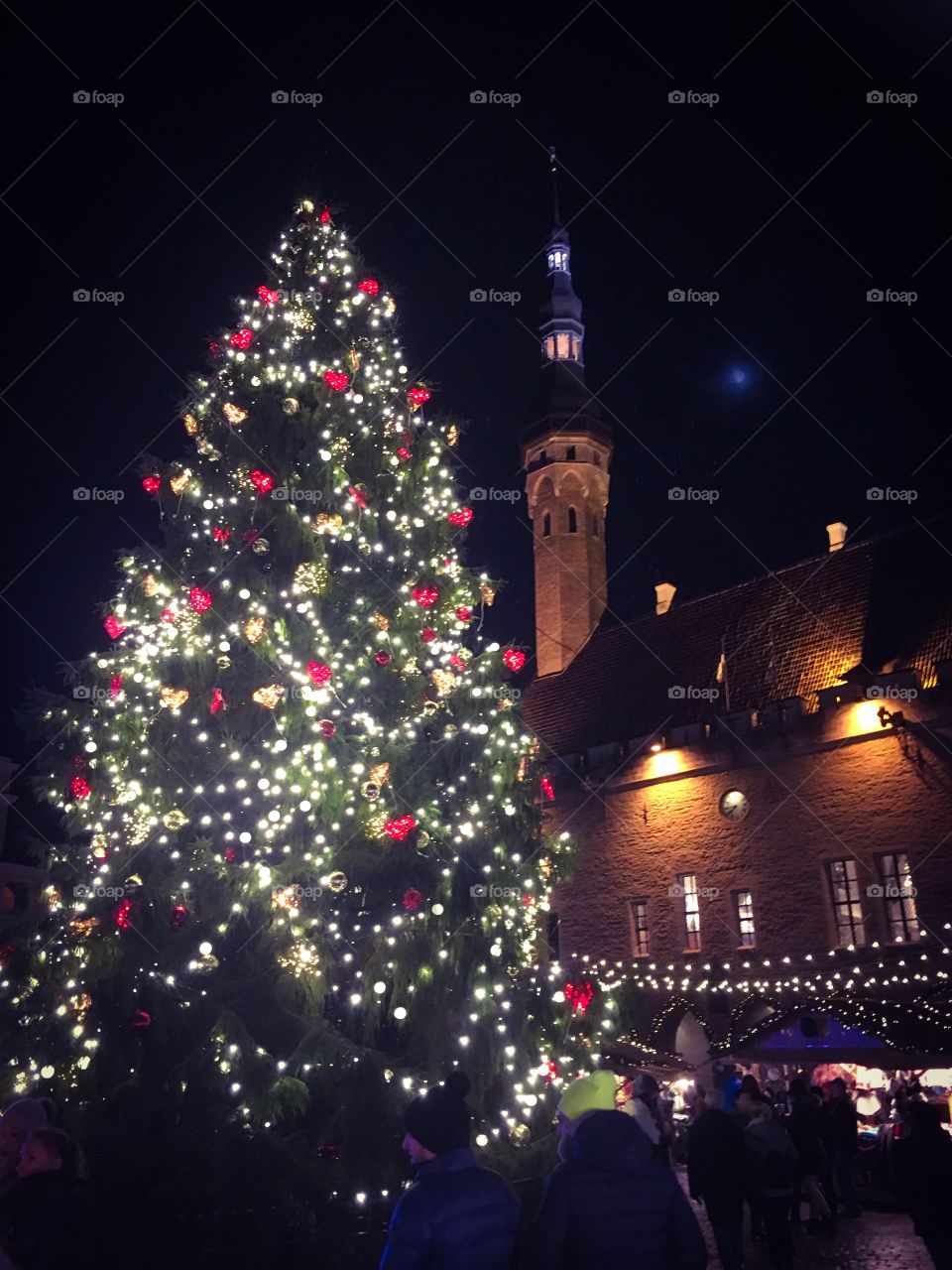 Christmas Tree and Tallinn Town Hall