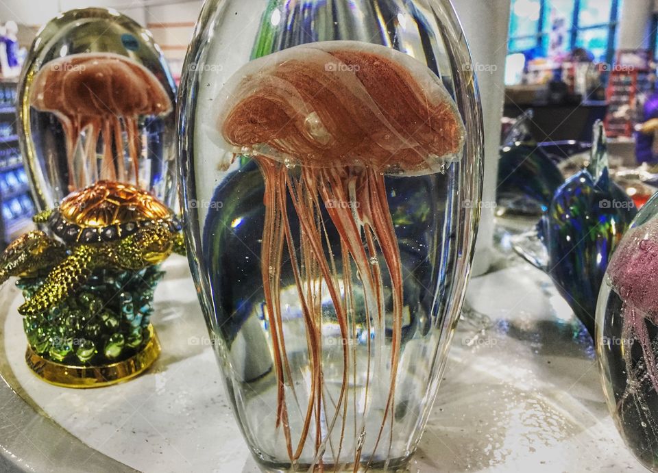 Jellyfish in a glass dome 