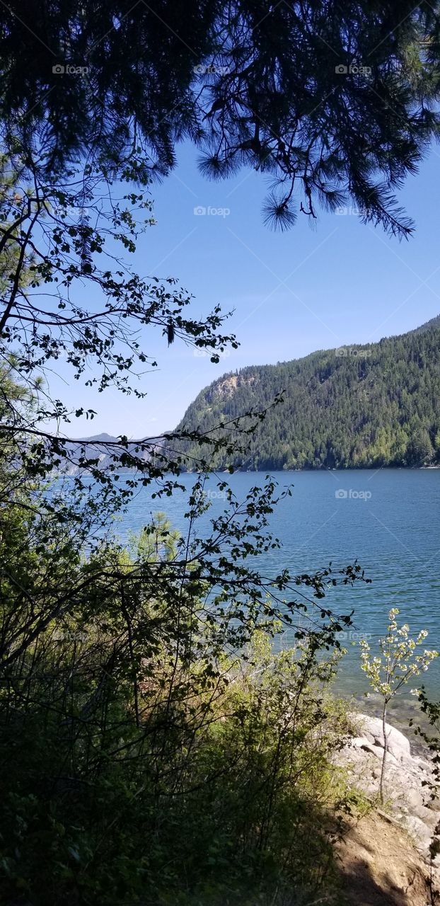 green foliage along a rocky shoreline shaded by trees with a view of lake water and mountain ridge covered with green trees under a sunny blue sky